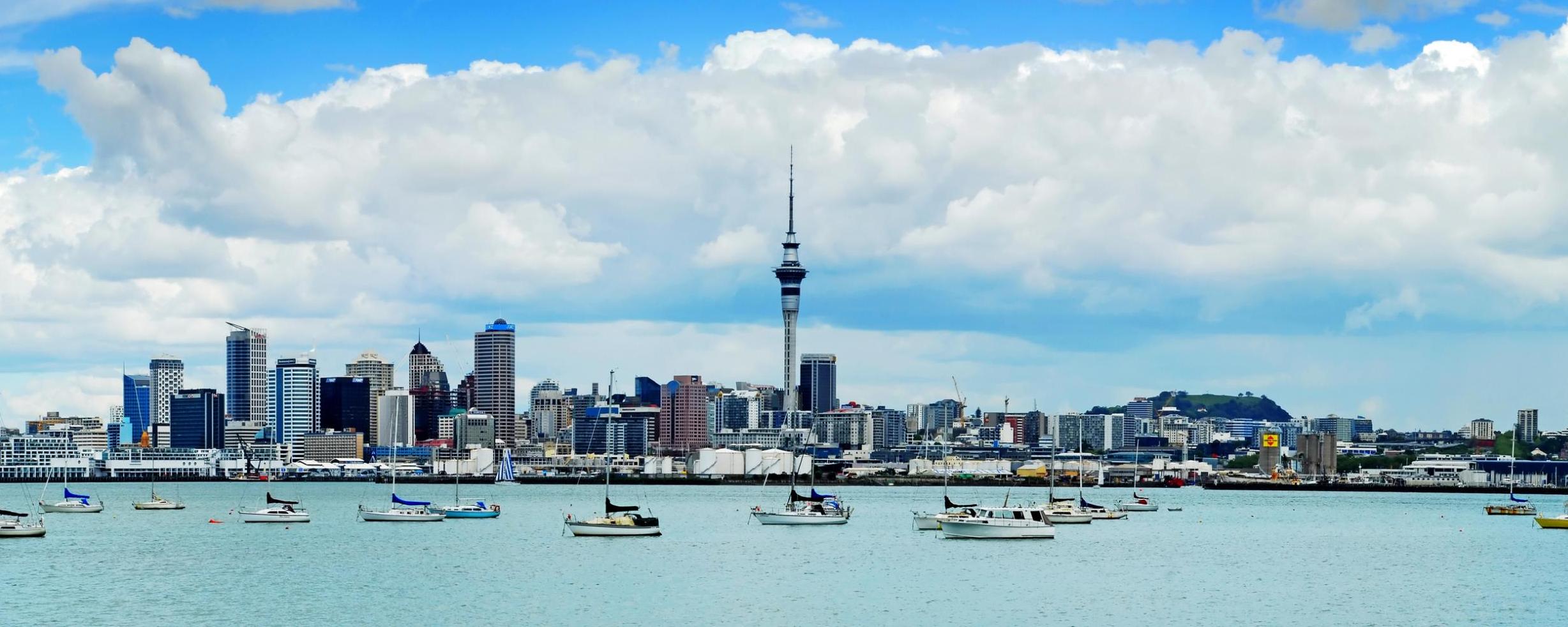 Auckland New Zealand Skyline